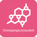 Overgangsconsulent